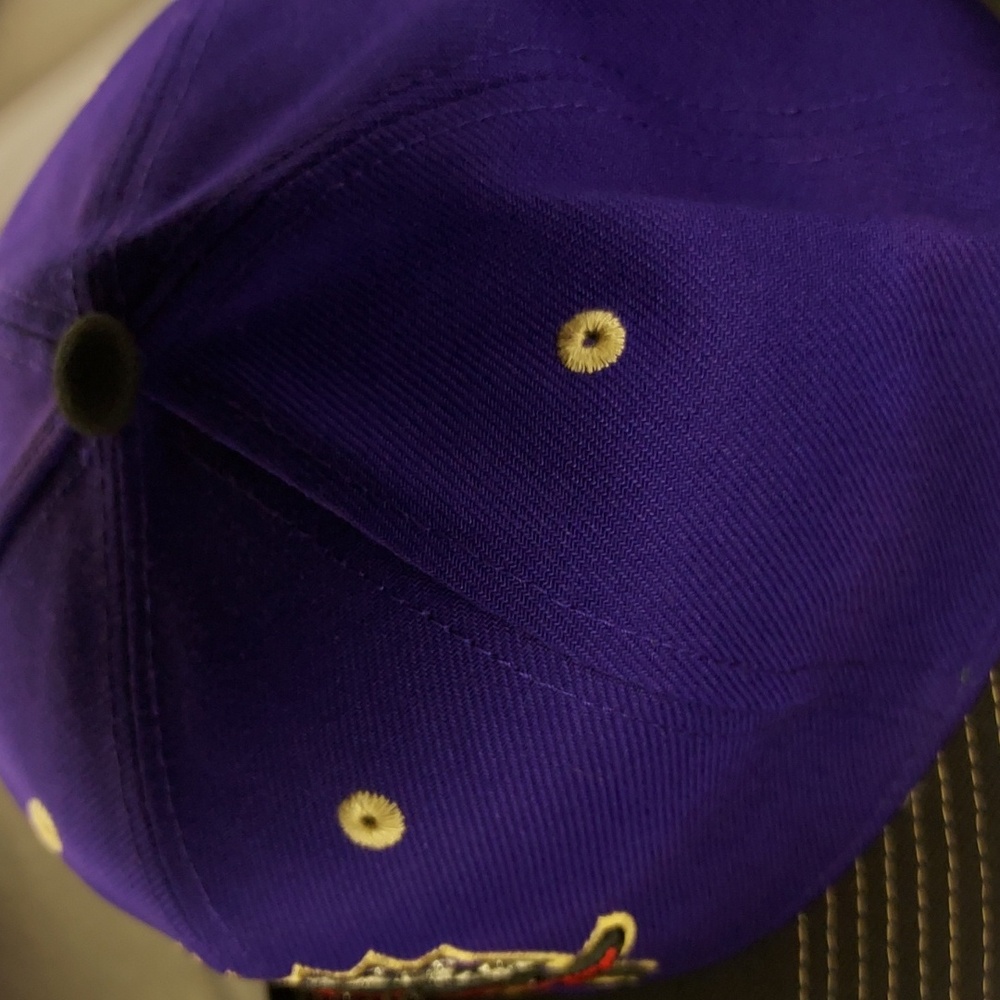 Mitchell & Ness Raptors Hat - Picture 11 of 11